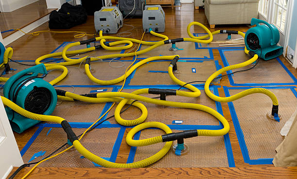 Professional Basement Flood Cleanup technician working in Baileyville, ME